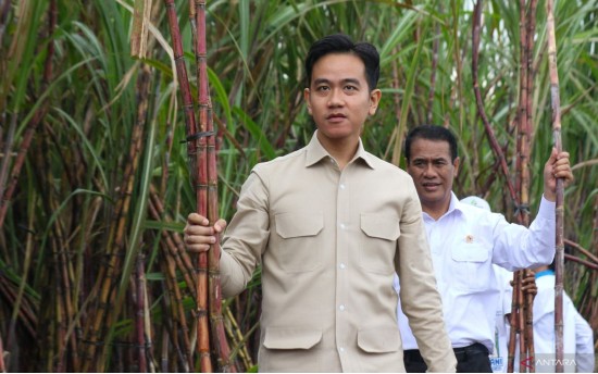 Gibran Dorong Digitalisasi Pupuk Subsidi, Petani Rasakan Dampaknya